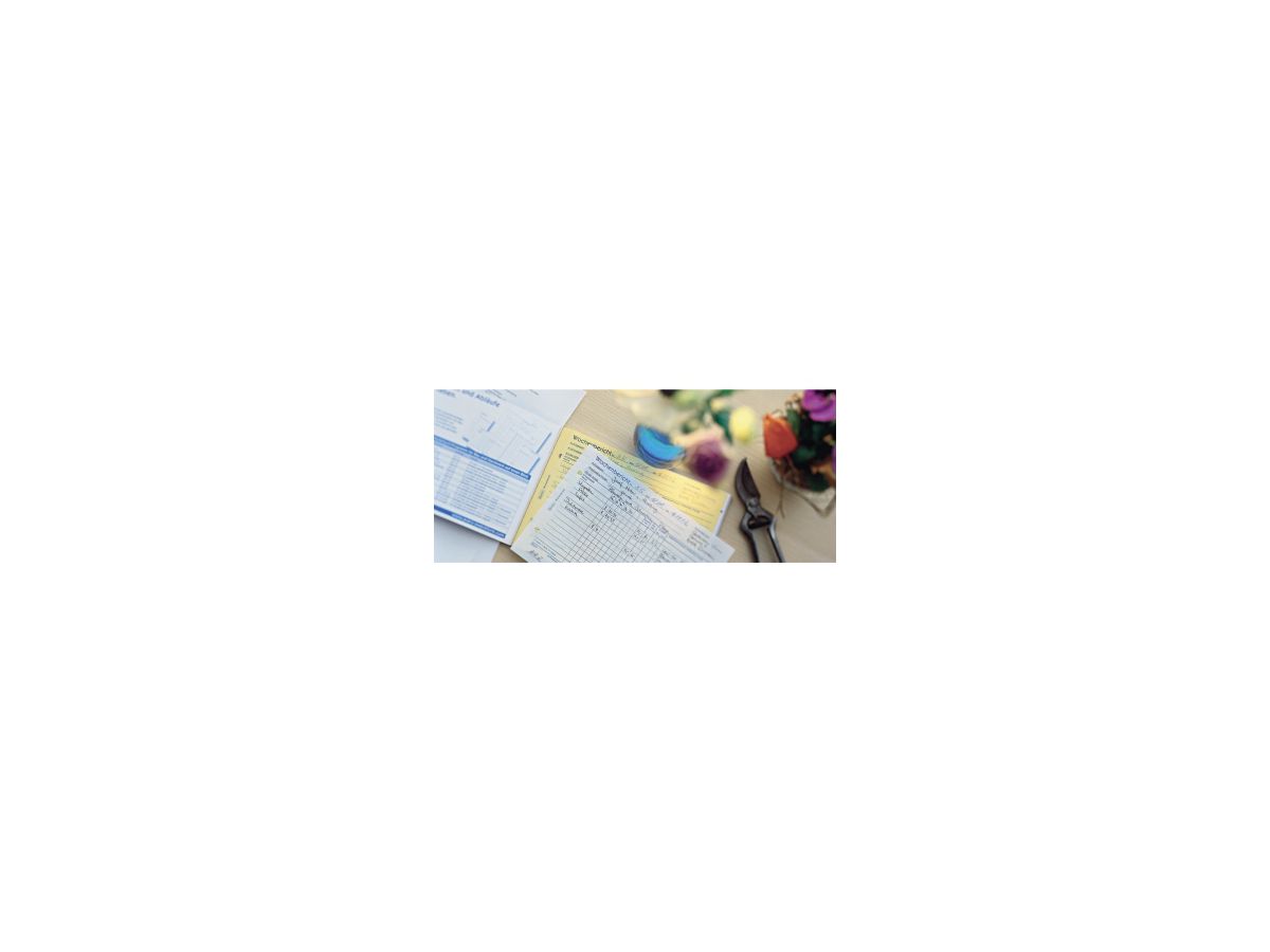 Avery Zweckform Wochenbericht 1311 DIN A5 quer 2x50Blatt