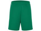 JN Basic Team Shorts JN387