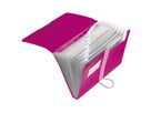 Herlitz Fächermappe easy orga to go 11217114 DIN A4 12Fächer PP beere