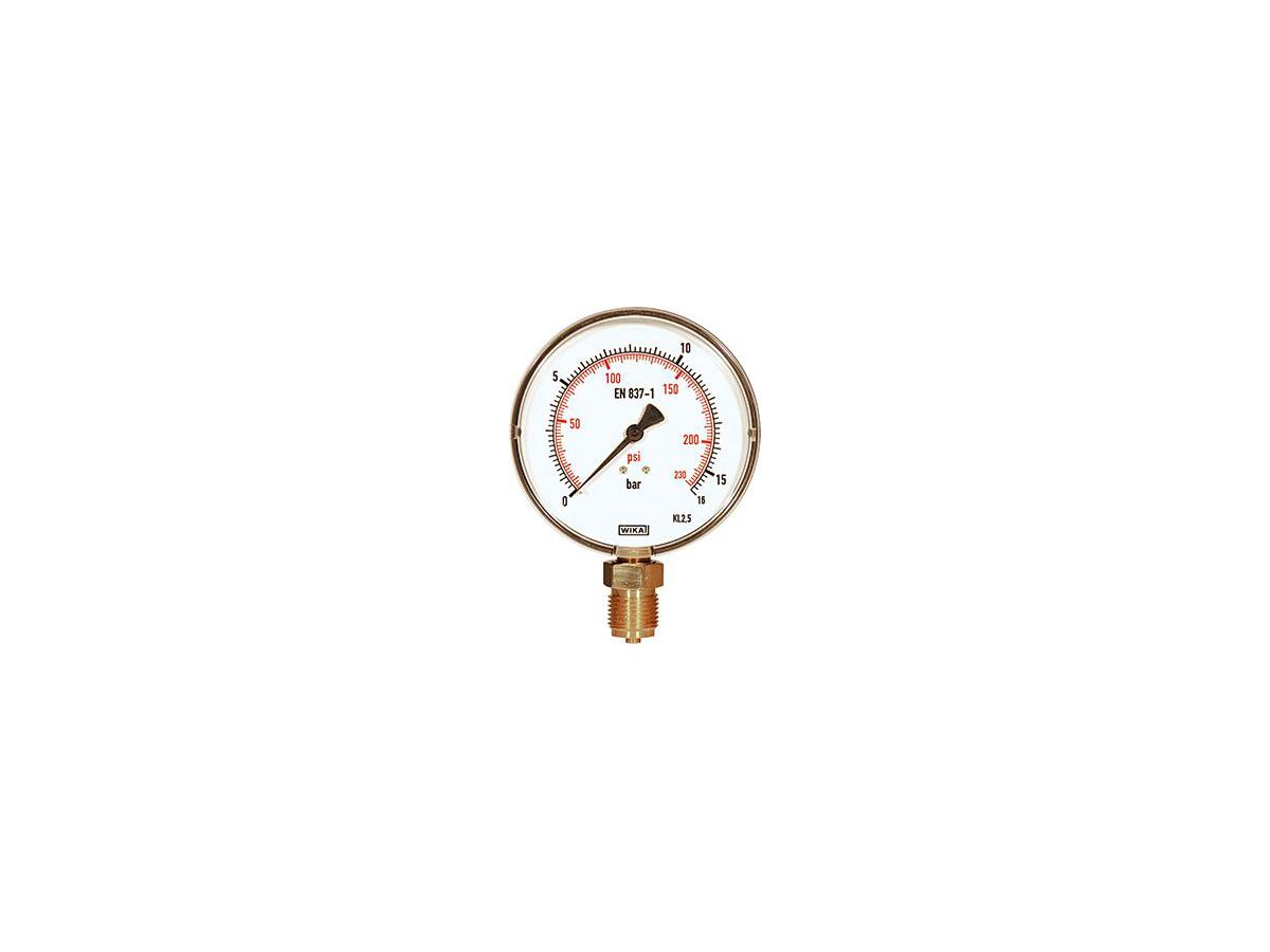 Press.gauge Druck p < MPa 1,6/bar 16/psi 232