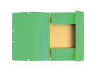 Exacompta Sammelmappe 55513E A4+ hellgrün