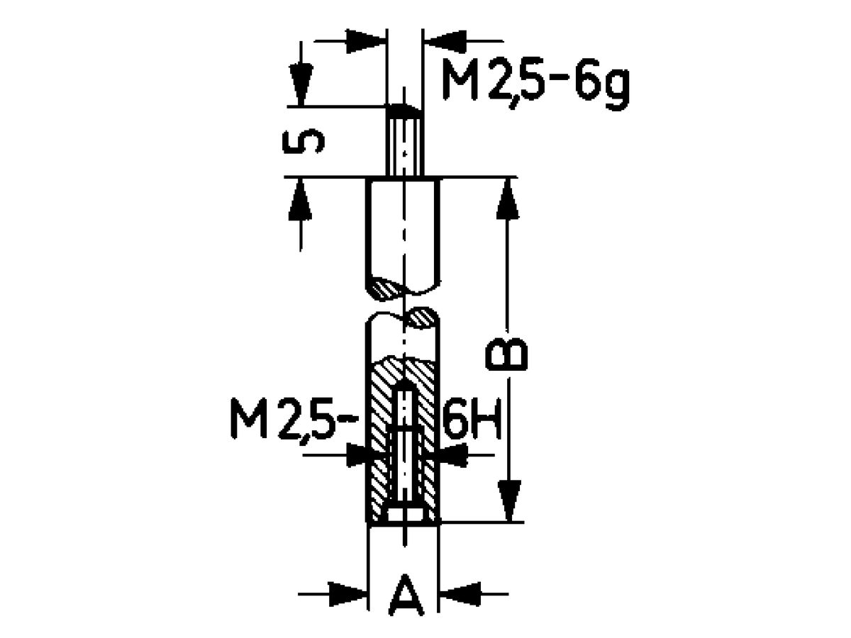 Verlängerungsstück f. Messeinsatz 50 mm Käfer