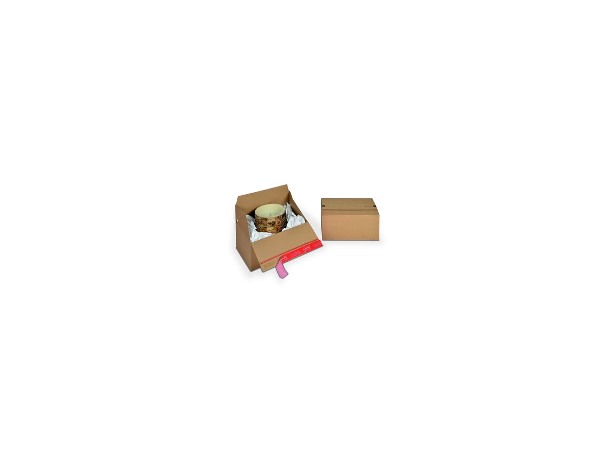ColomPac Versandkarton Eurobox CP154.302015 294x194x137mm braun