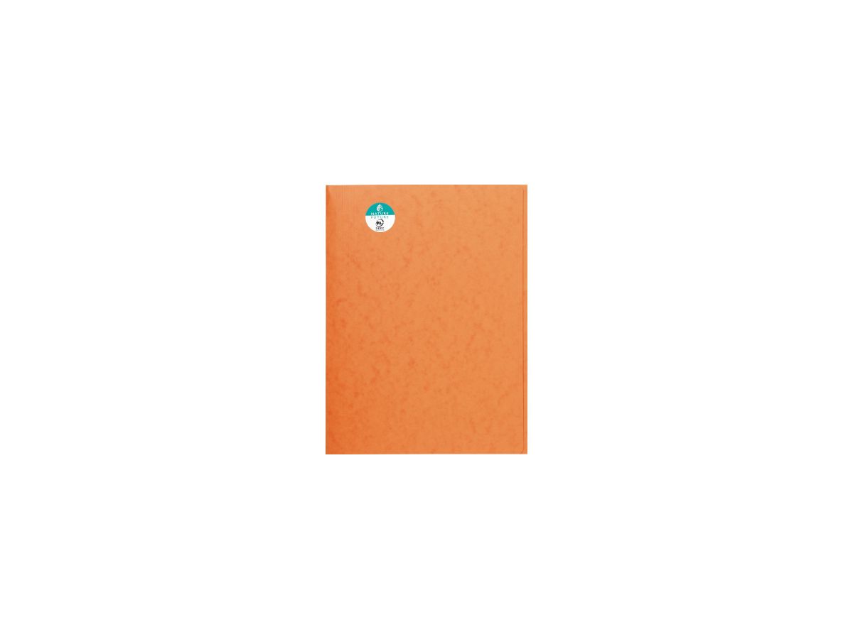 Exacompta Sammelmappe 56409E DIN A4 3Klappen Karton orange