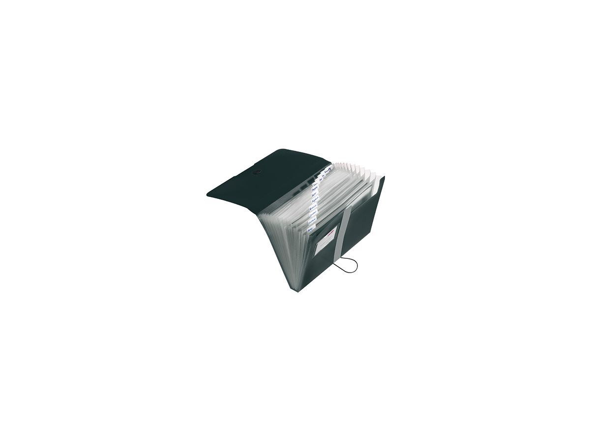 Herlitz Fächermappe easy orga to go 11208394 DIN A4 12Fächer PP schwarz