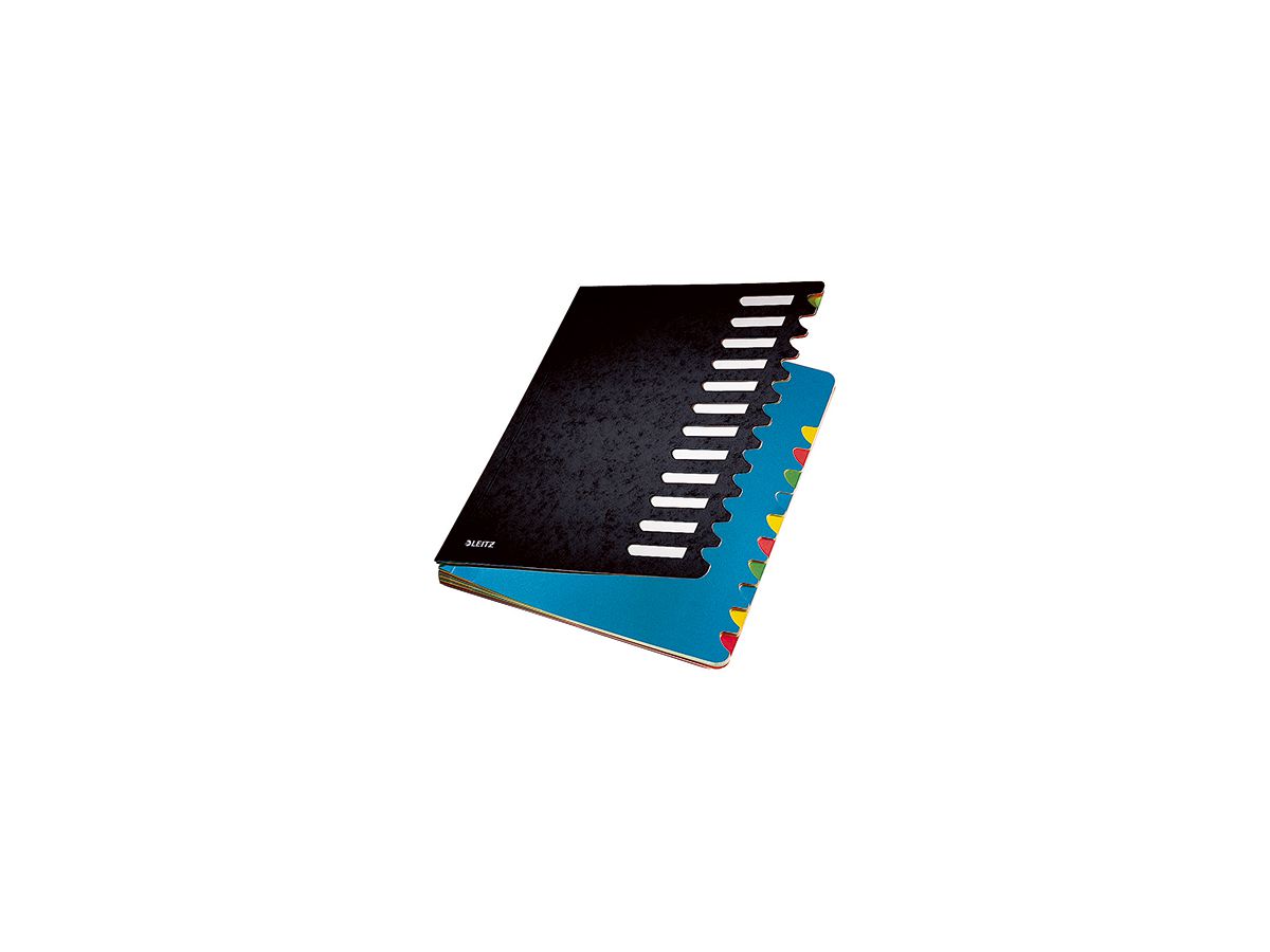 Leitz Ordnungsmappe Deskorganizer Color 59120095 12Fächer schwarz
