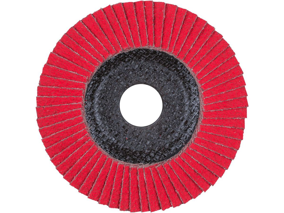 Fächerschleifscheibe gewölbt 115mm CO40 SGP-COOL Pferd