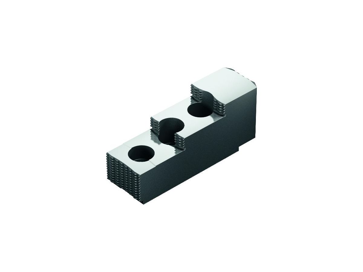 SHB-J 100, Aufstatzbacken,hart,1,5mmx60° N=16mm , 0133111