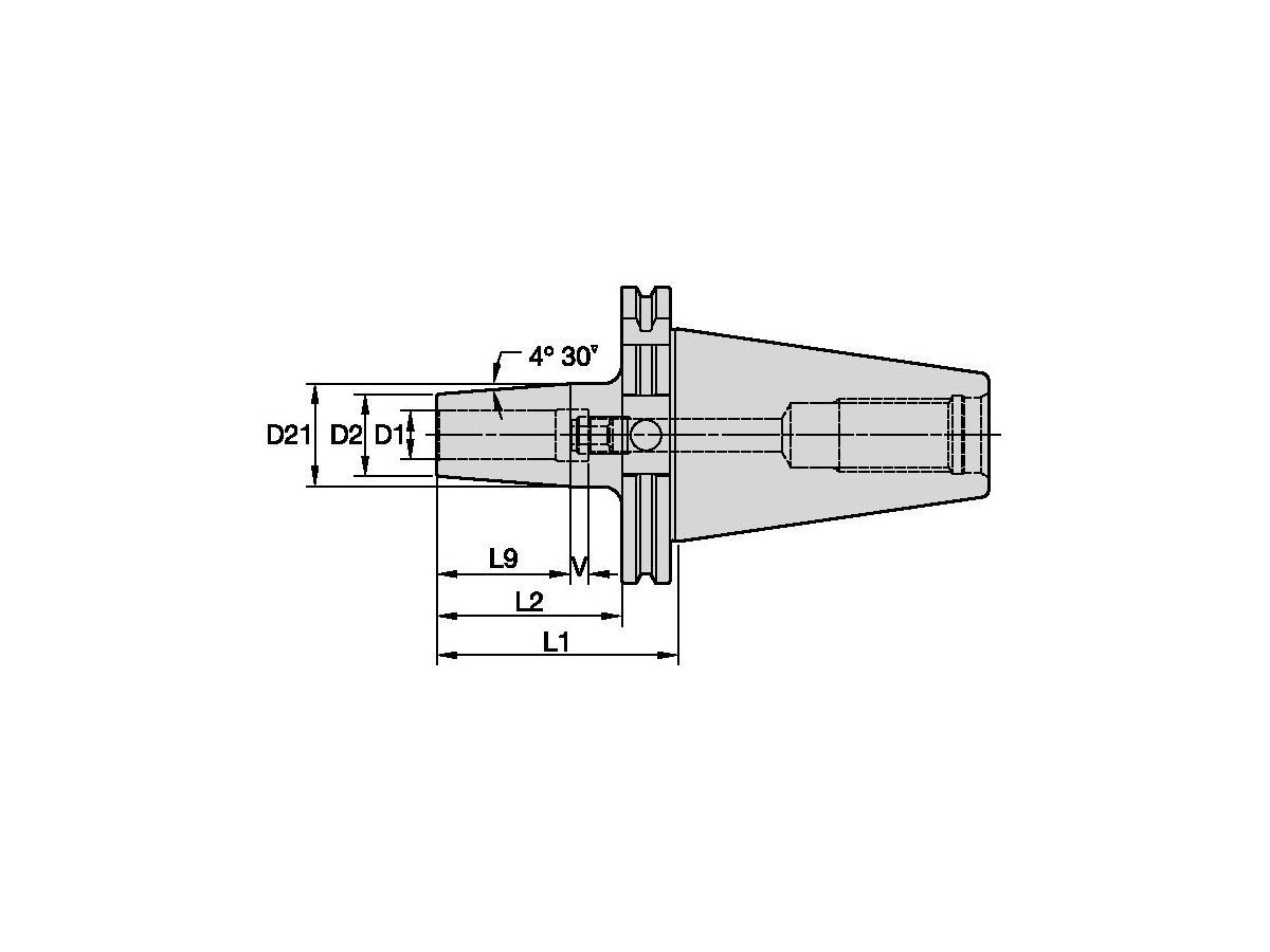ERICKSON DV40TTGL12080M DV40 TT GL D1=12MM L1=80MM