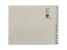 Leitz Registerserie 13240085 DIN A4 A-Z 24Ordner Tauenpapier grau