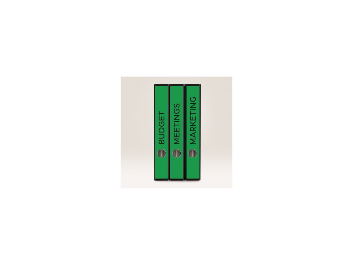 Avery Zweckform Ordneretikett L4750-20 sk grün 100 St./Pack.