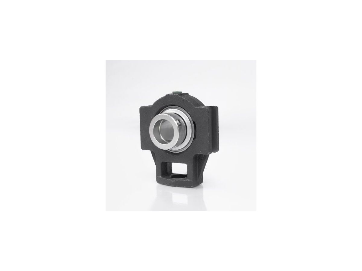 NTN Spann-Gehäuseeinheit AELT210 D1