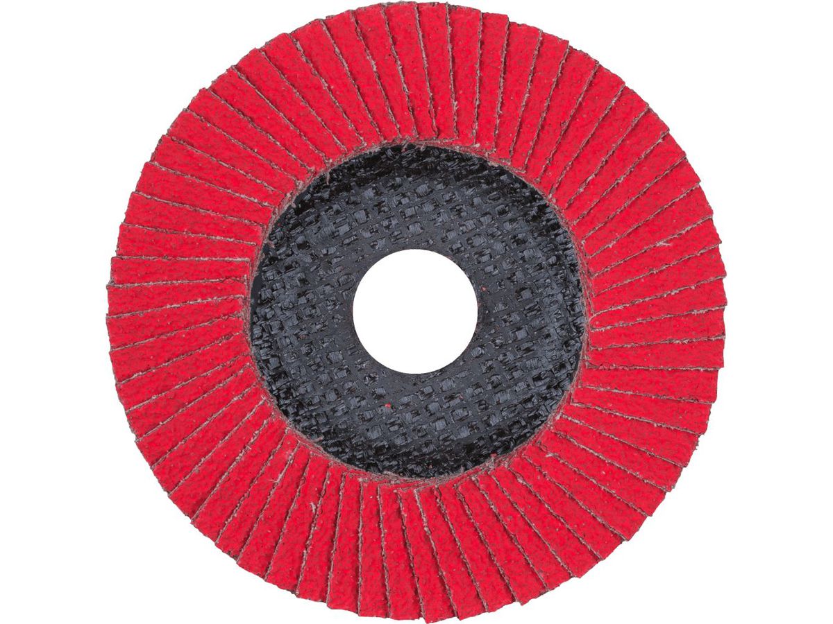 Fächerschleifscheibe gerade 115mm CO40 SGP-COOL Pferd