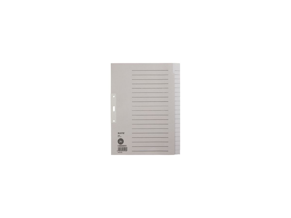 Leitz Register 12200085 blanko DIN A4 20teilig Papier grau