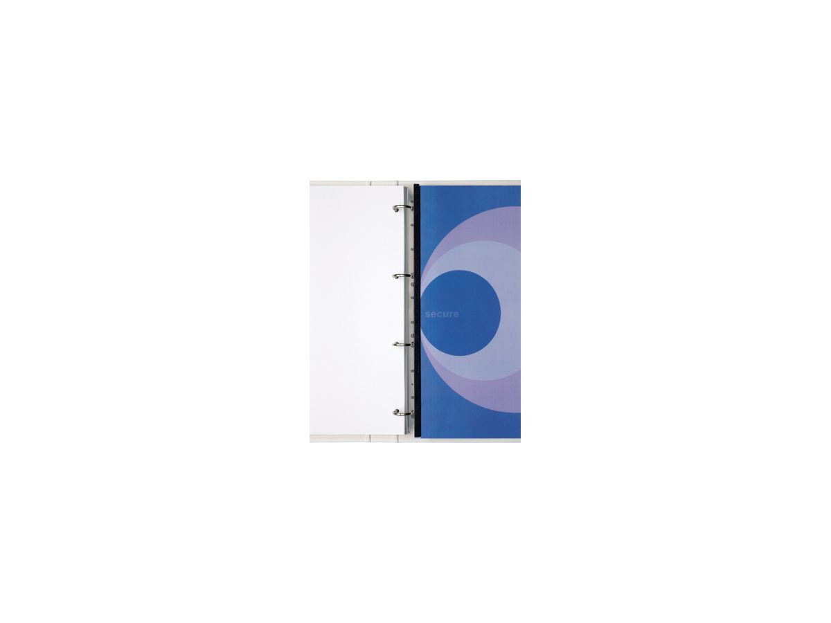 GBC Einhängeheftstreifen Polystrip IB195020 DIN A4 100 St./Pack.