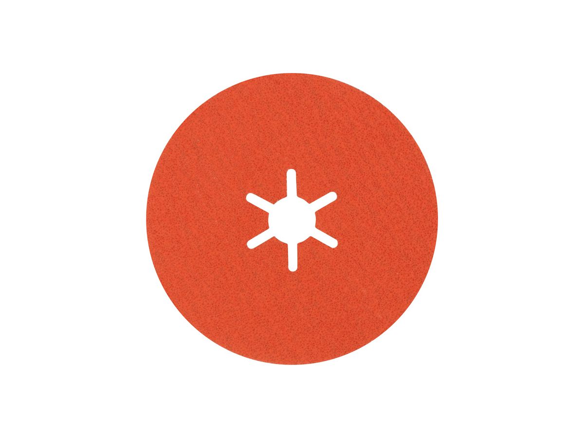 BOSCH Fiberschleifscheibe R782 EXPERT 100 mm, K 80, VE 25