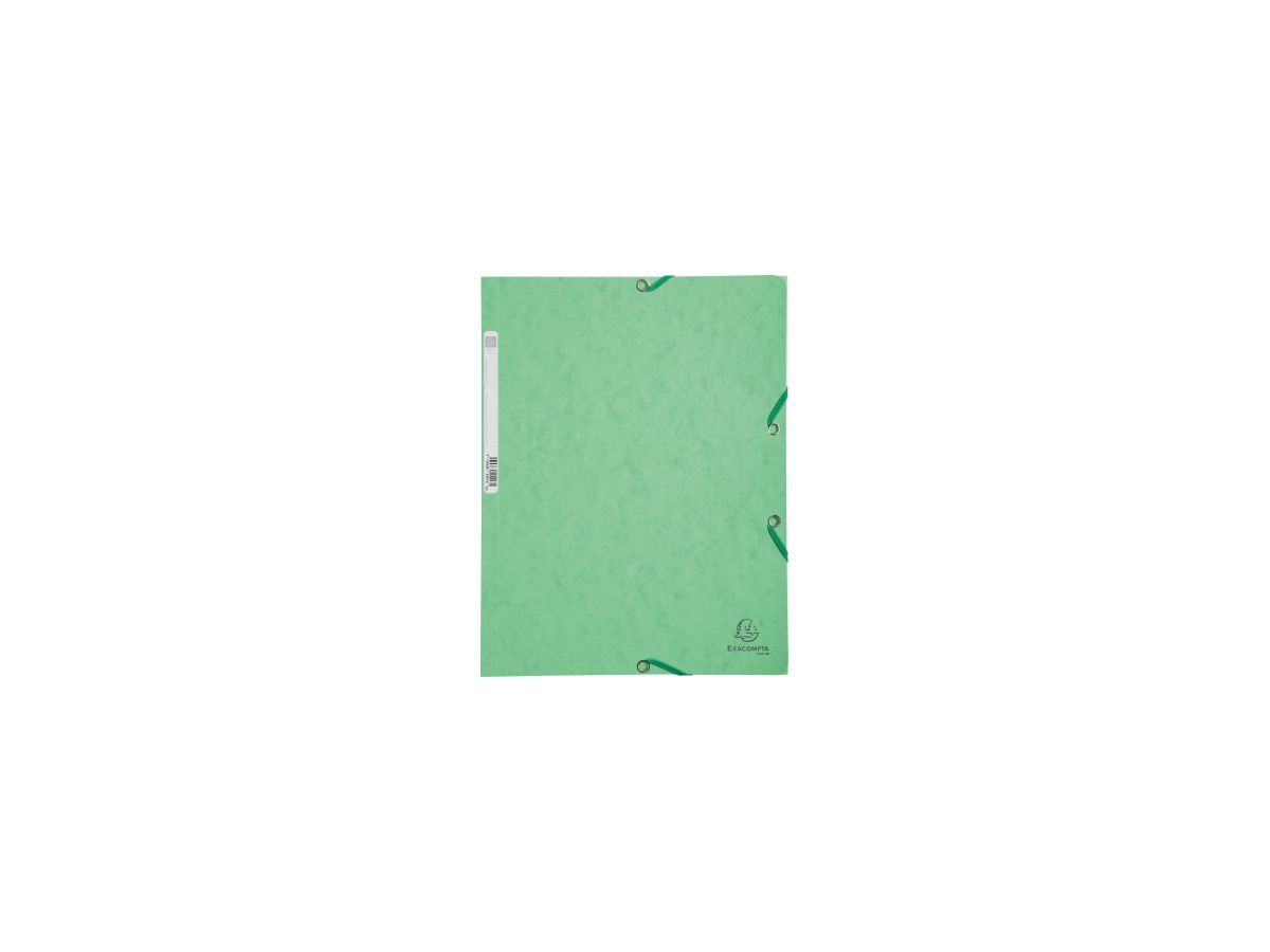 Exacompta Sammelmappe 55513E A4+ hellgrün