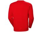 HELLY HANSEN Manchester LS-Shirt