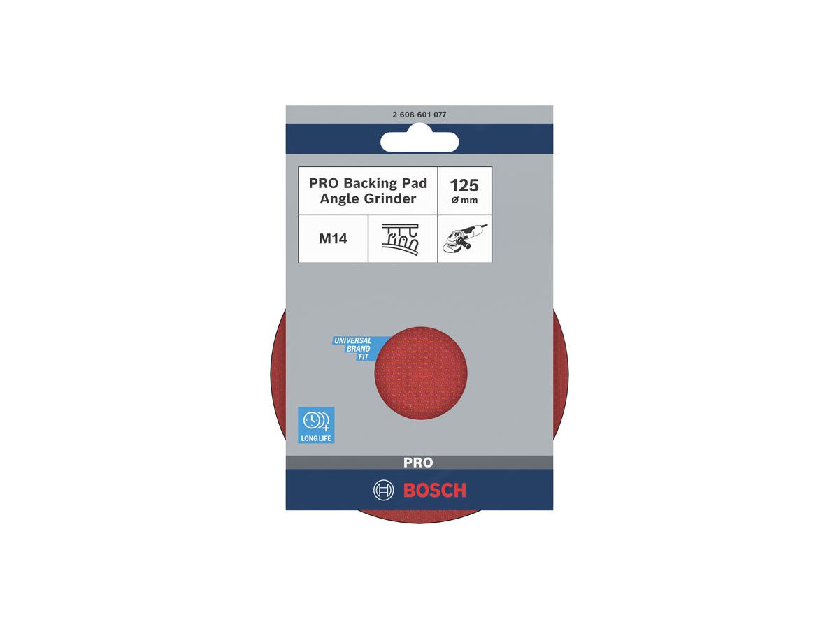 HAFTSCHLEIFTELLER 125 MM F. EH WS