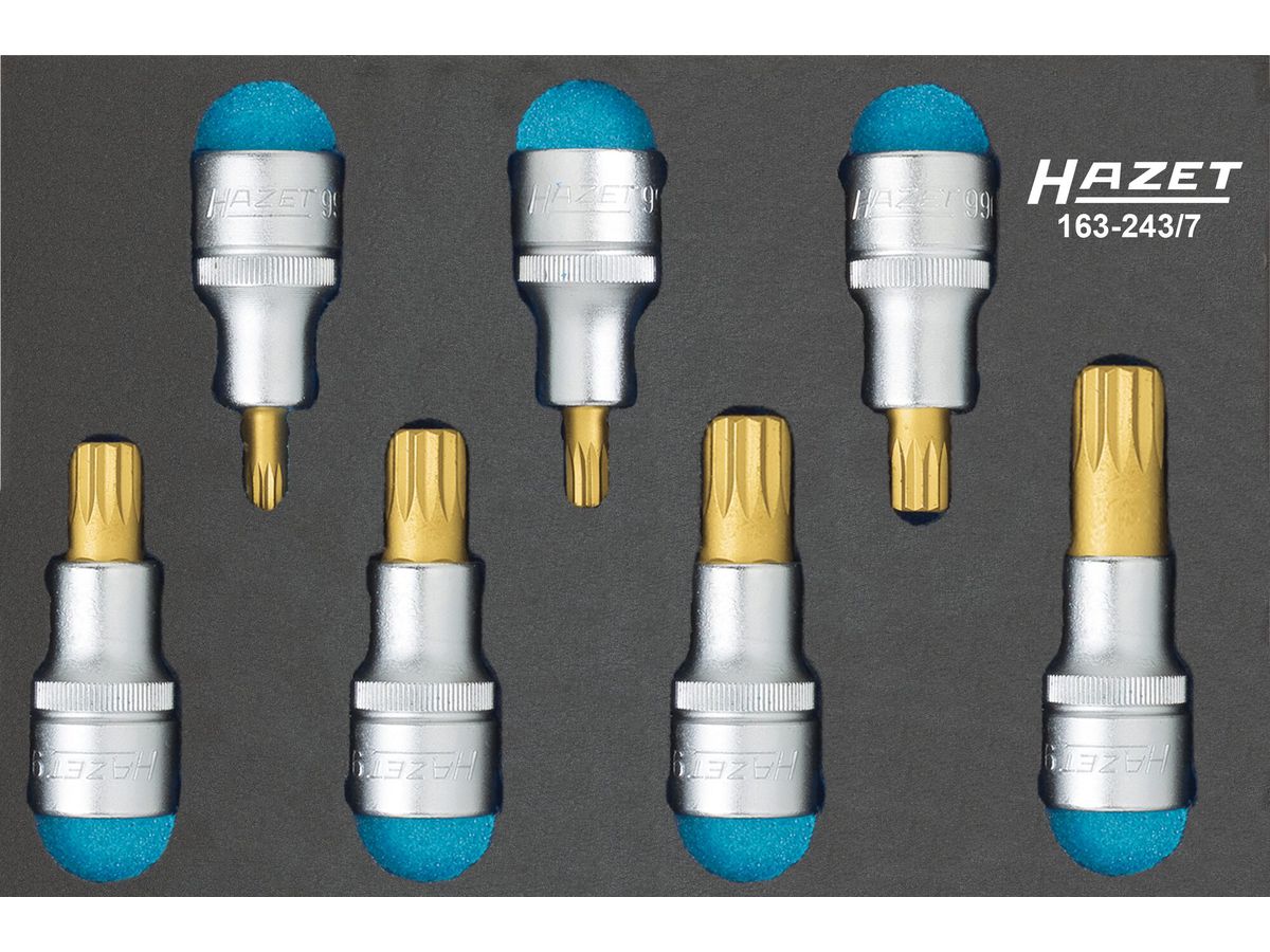 Hazet Werkzeugmodul 163-243/7 Steckschlüsseleinsatz-Satz XZN