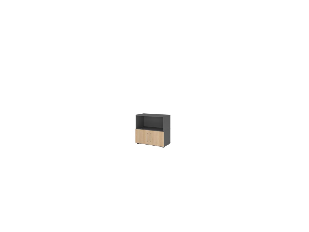 Regal FlexWall VFW281T1 B800xT400xH748mm 2 OH 2 Türen graphit/eiche