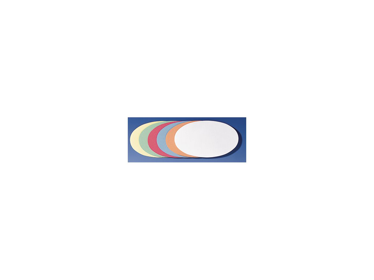 Franken Moderationskarte UMZ 1119 99 sortiert 500 St./Pack.