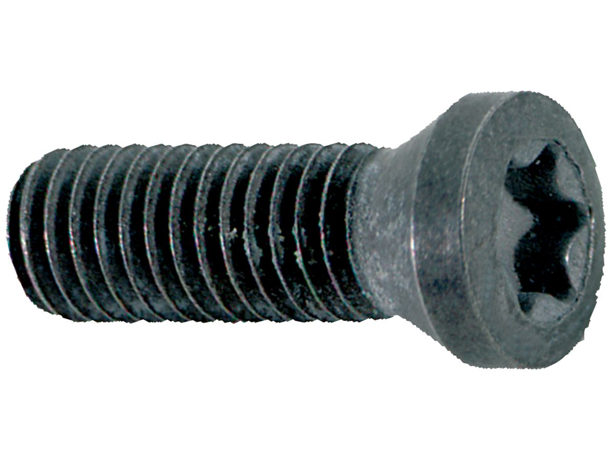Clamp. screw M3.5x10 T15