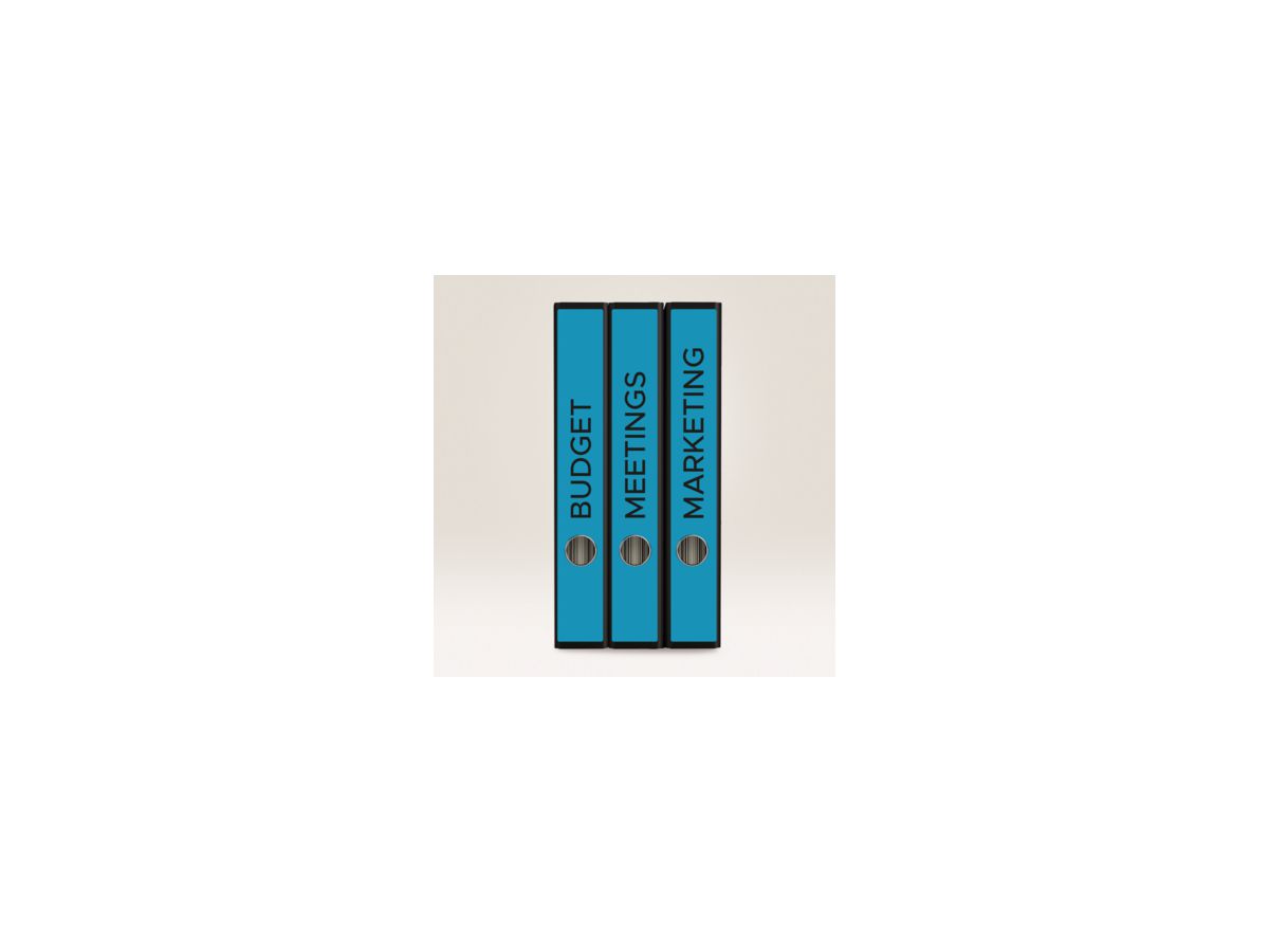 Avery Zweckform Ordneretikett L4749-20 sk blau 100 St./Pack.