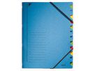 Leitz Ordnungsmappe 39120035 DIN A4 12 Fächer farbig Karton blau