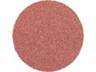 Schleifblatt COMBIDISC 50mm K 60 FLEX Pferd