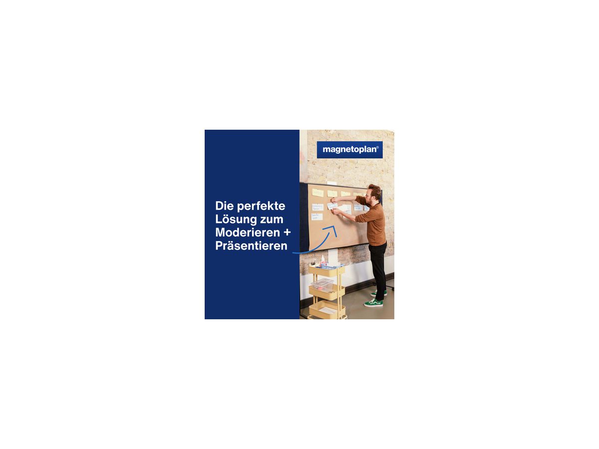 magnetoplan Moderationskarte 112501510 200x100mm sort. 250St.