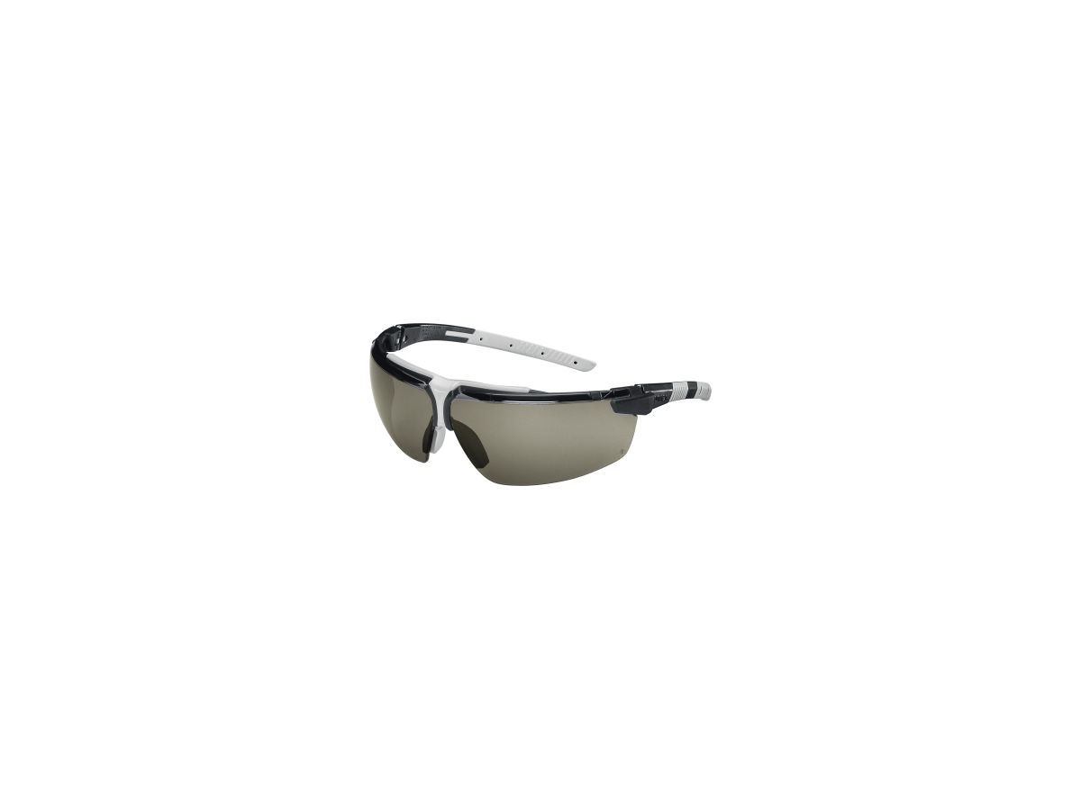 Uvex Schutzbrille i-3 9190281 schwarz/hellgrau