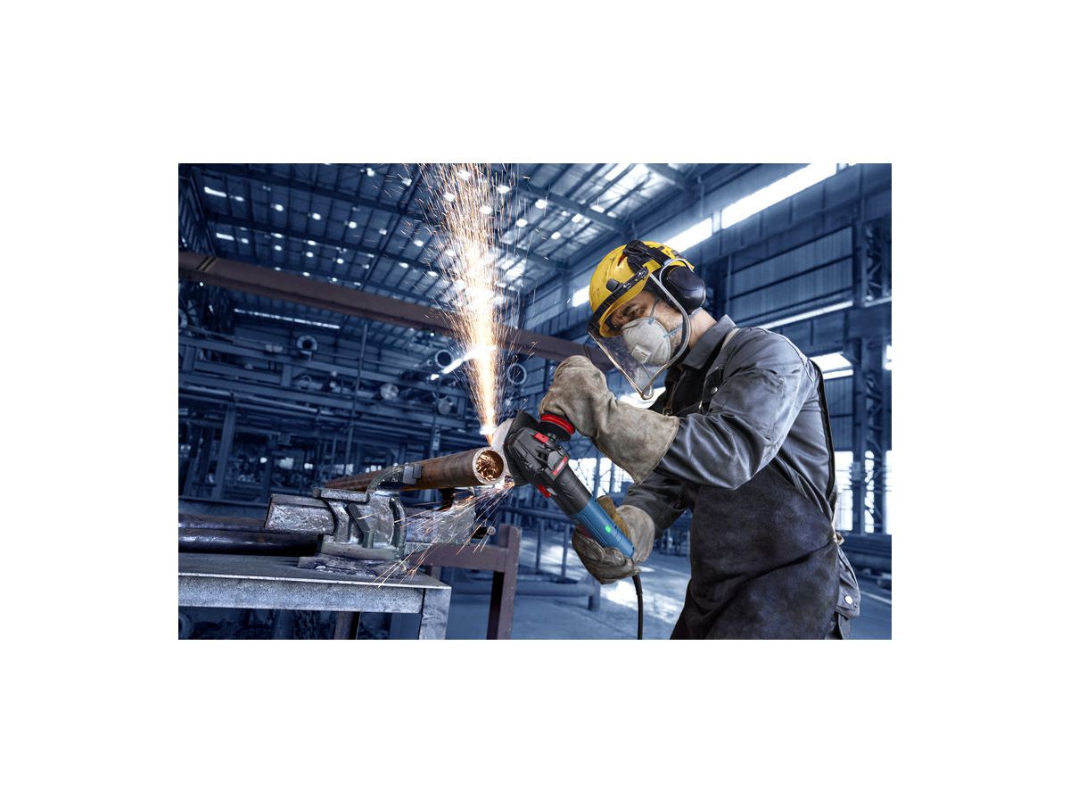 BOSCH Winkelschleifer EXWS20-125TSB im Karton