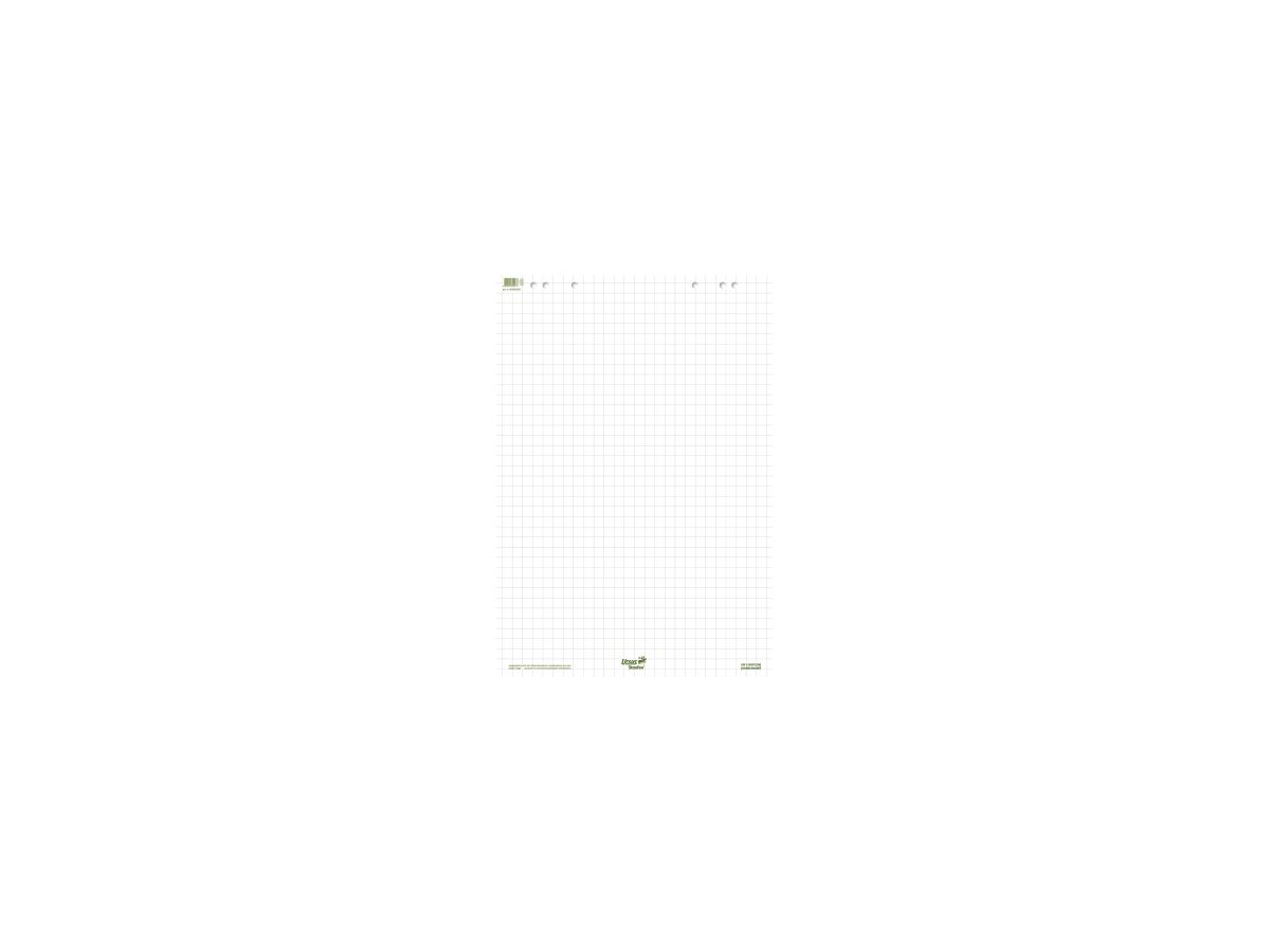 Ursus Flipchartblock Green 608580020 68x99cm 20Bl. kariert