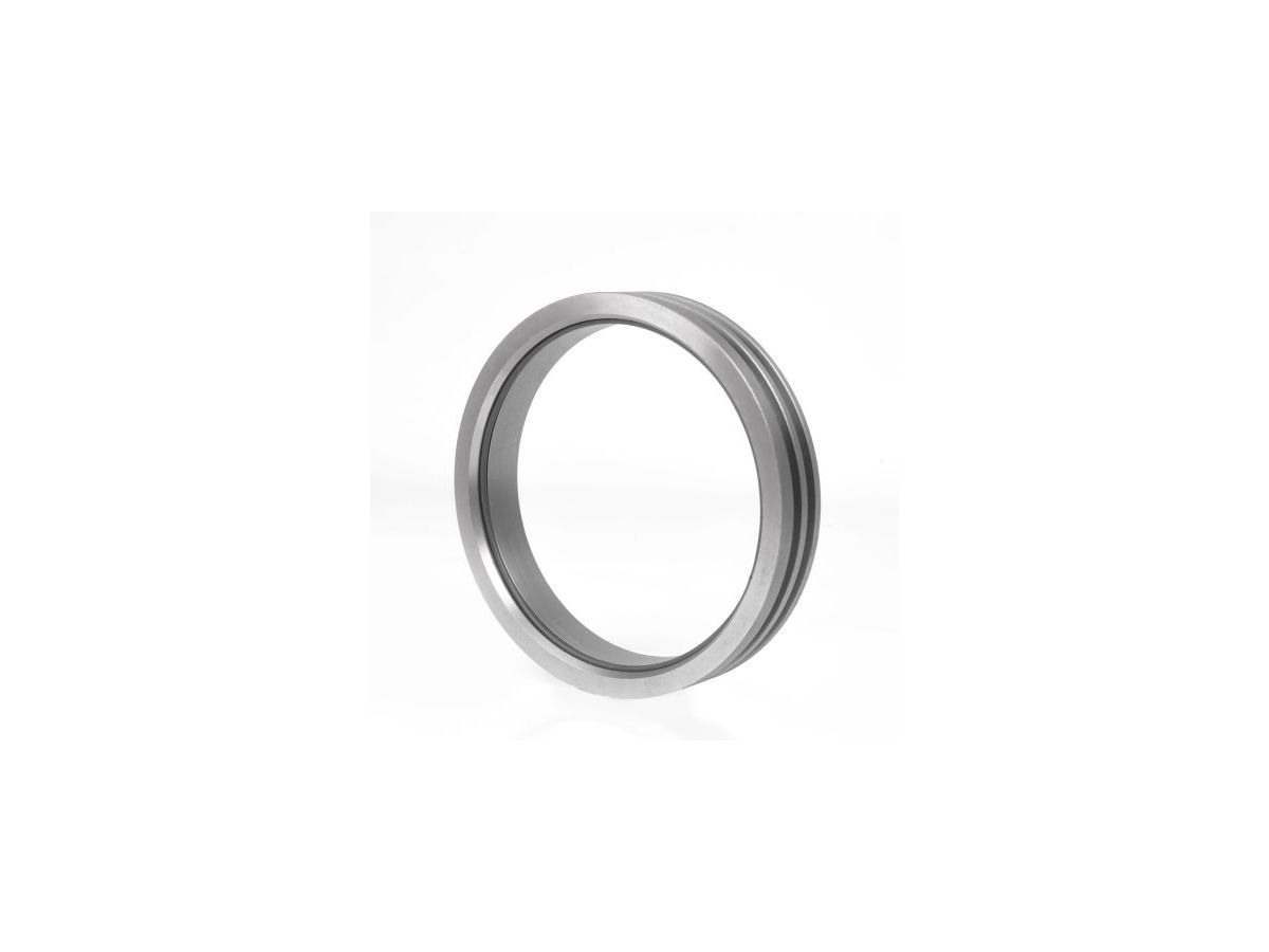 SKF Gehäusedichtung TS28