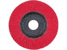 Fächerschleifscheibe gerade 115mm CO40 SGP-COOL Pferd