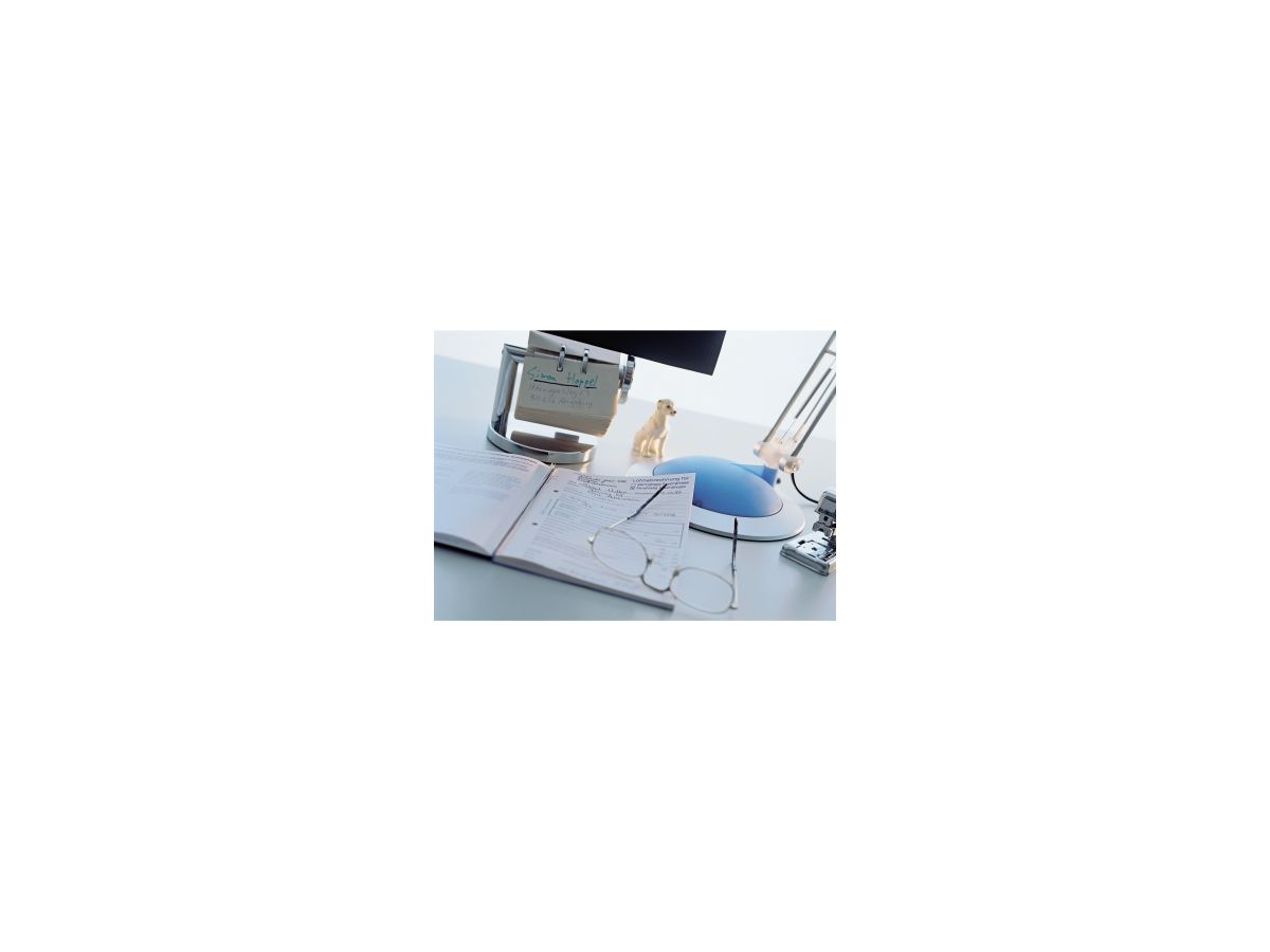 Avery Zweckform Lohnabrechnung 506 DIN A4 50Blatt