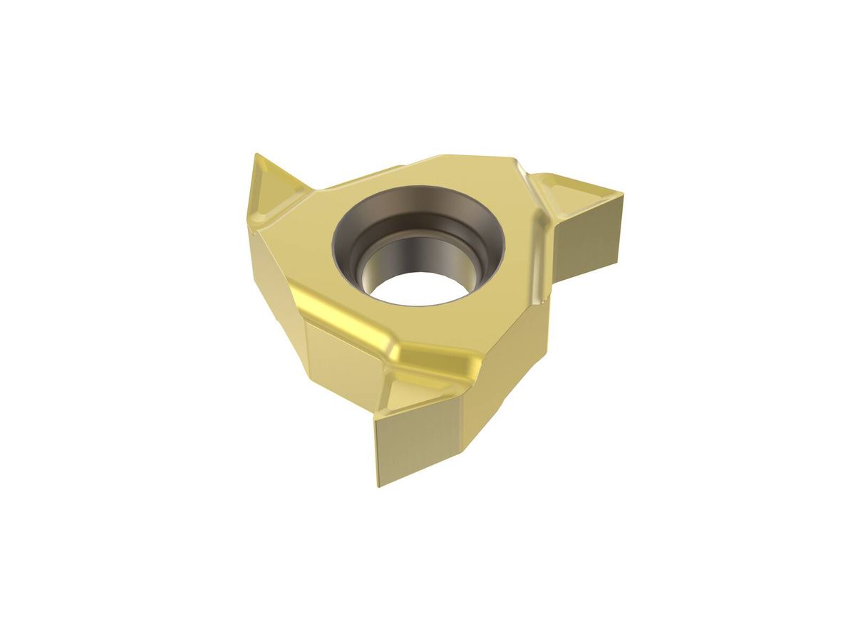 SECO Dreh-Wendeplatten für Gewinde 16ERAG55-A2,CP500