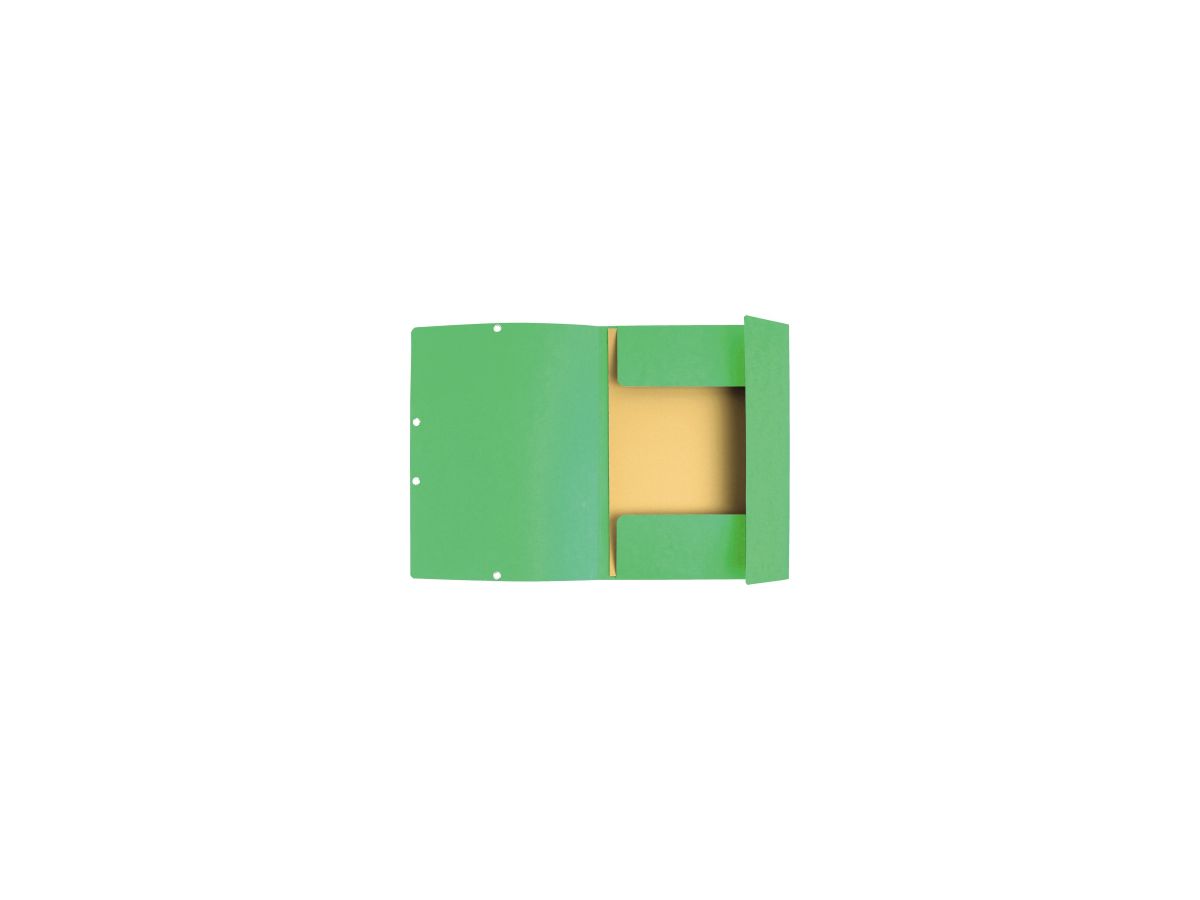 Exacompta Sammelmappe 55513E A4+ hellgrün