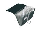 Herlitz Fächermappe easy orga to go 11208394 DIN A4 12Fächer PP schwarz