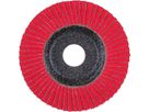 Fächerschleifscheibe gewölbt 115mm CO40 SGP-COOL Pferd