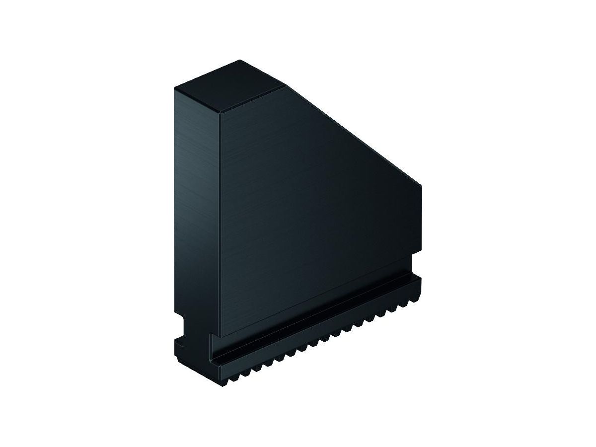 SCHUNK UVB-HS 315, Weiche Blockbacken 164121