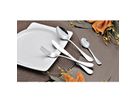 Esmeyer Besteckgarnitur CELINE 208-071 Chromstahl 24tlg.