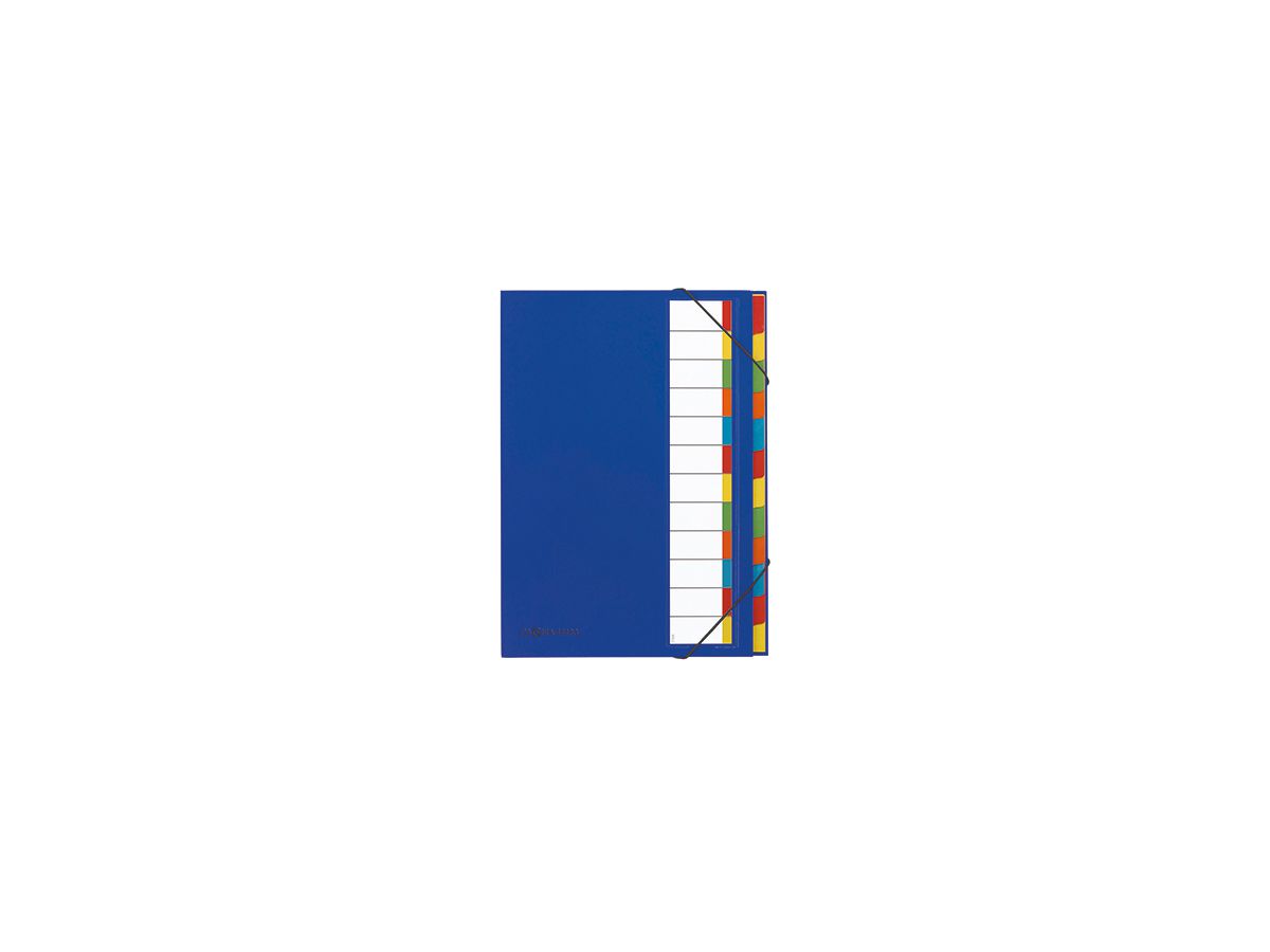 PAGNA Ordnungsmappe Deskorganizer 44133-02 DIN A4 12Fächer blau