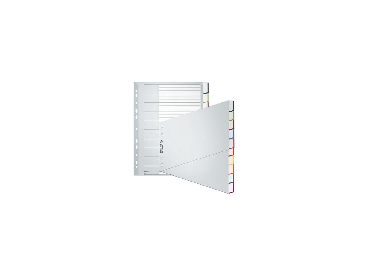 Leitz Register 12700000 blanko DIN A4 10teilig PP grau