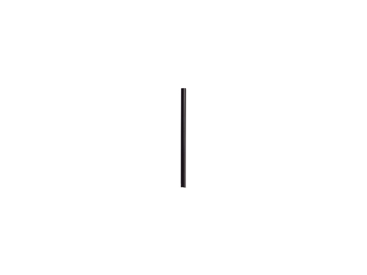 DURABLE Klemmschiene 290001 DIN A4 max. 30Blatt sw 100 St./Pack.